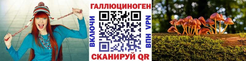 Псилоцибиновые грибы Psilocybe  Купить закладки  Сибай 